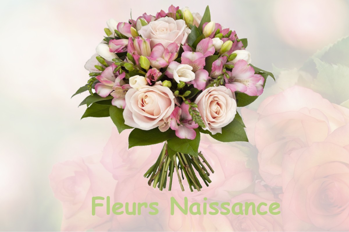 fleurs naissance ISLES-SUR-SUIPPE